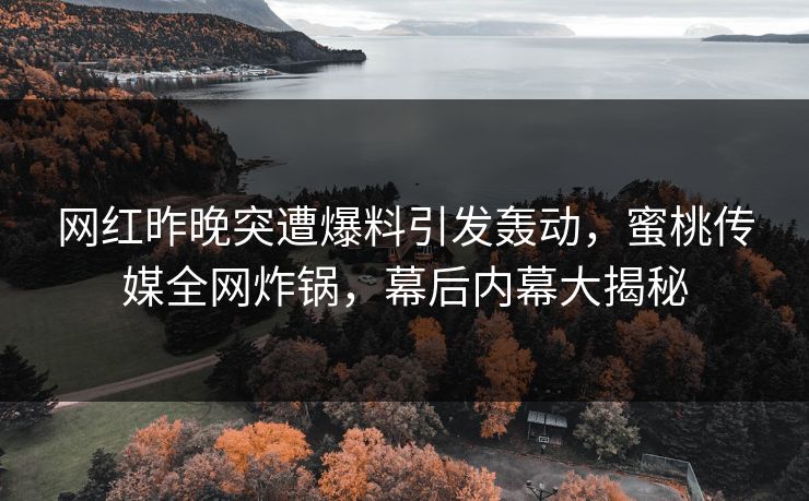 网红昨晚突遭爆料引发轰动，蜜桃传媒全网炸锅，幕后内幕大揭秘