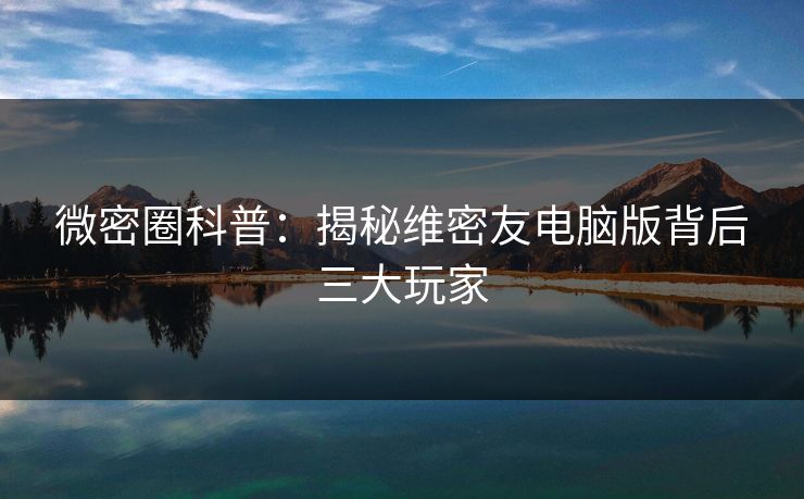 微密圈科普：揭秘维密友电脑版背后三大玩家