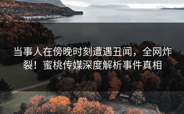 当事人在傍晚时刻遭遇丑闻，全网炸裂！蜜桃传媒深度解析事件真相