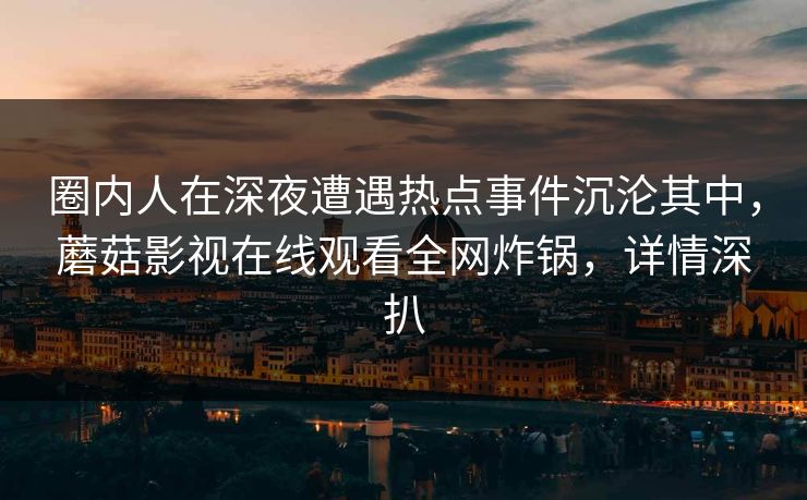 圈内人在深夜遭遇热点事件沉沦其中，蘑菇影视在线观看全网炸锅，详情深扒
