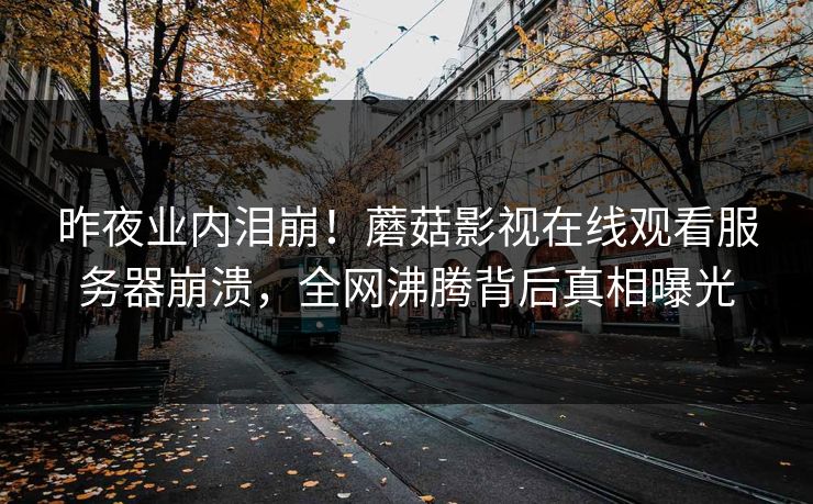 昨夜业内泪崩！蘑菇影视在线观看服务器崩溃，全网沸腾背后真相曝光