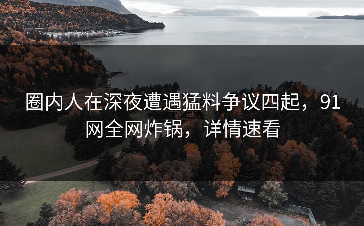 圈内人在深夜遭遇猛料争议四起，91网全网炸锅，详情速看