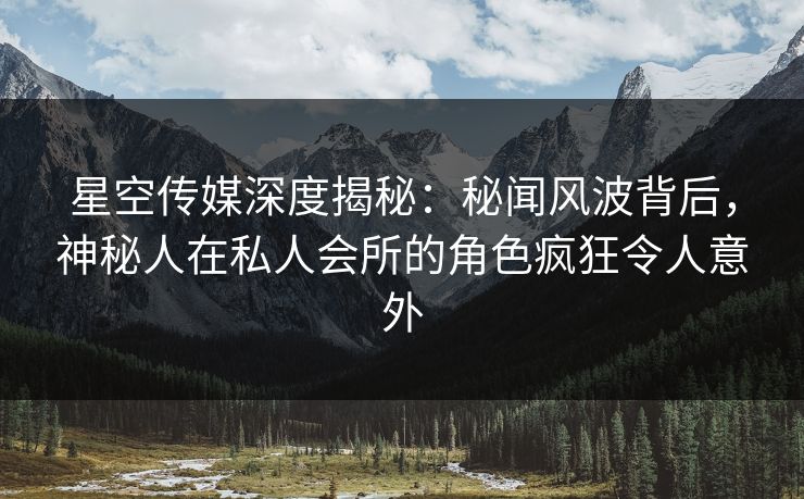 星空传媒深度揭秘：秘闻风波背后，神秘人在私人会所的角色疯狂令人意外
