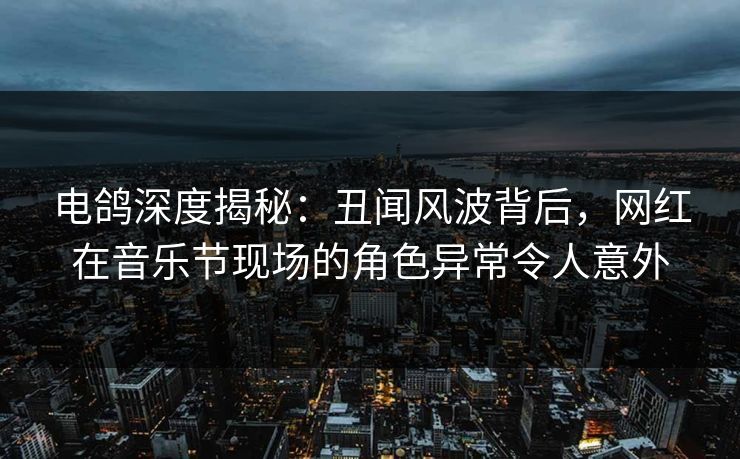 电鸽深度揭秘：丑闻风波背后，网红在音乐节现场的角色异常令人意外