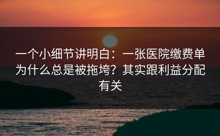 一个小细节讲明白：一张医院缴费单为什么总是被拖垮？其实跟利益分配有关