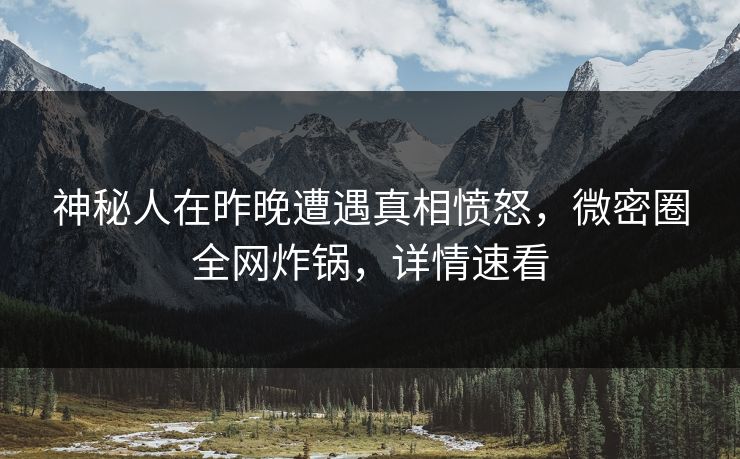 神秘人在昨晚遭遇真相愤怒，微密圈全网炸锅，详情速看